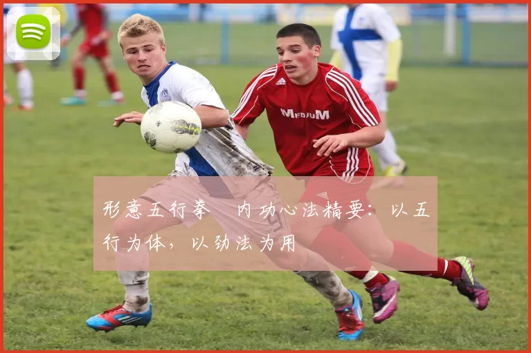 形意五行拳・内功心法精要：以五行为体，以劲法为用