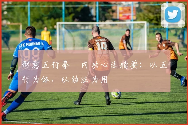 形意五行拳・内功心法精要:以五行为体,以劲法为用