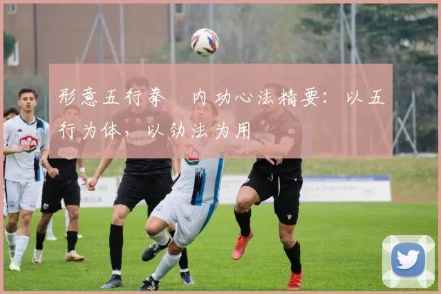 形意五行拳・内功心法精要：以五行为体，以劲法为用