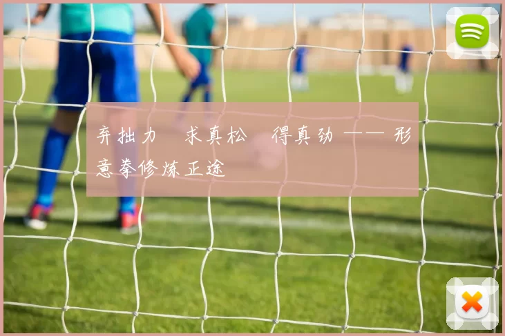 弃拙力・求真松・得真劲 —— 形意拳修炼正途