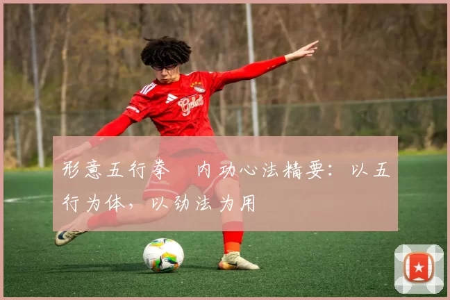 形意五行拳・内功心法精要:以五行为体,以劲法为用