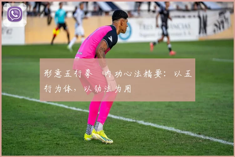 形意五行拳・内功心法精要:以五行为体,以劲法为用