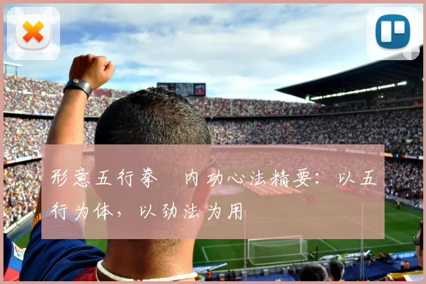 形意五行拳・内功心法精要：以五行为体，以劲法为用