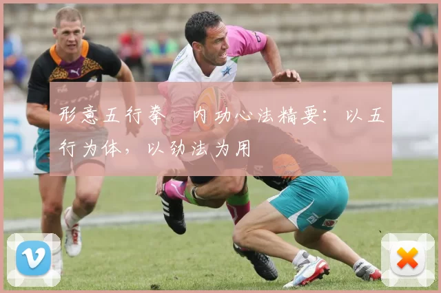 形意五行拳・内功心法精要：以五行为体，以劲法为用