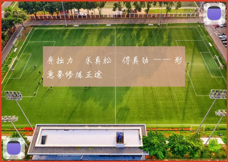 弃拙力・求真松・得真劲 —— 形意拳修炼正途