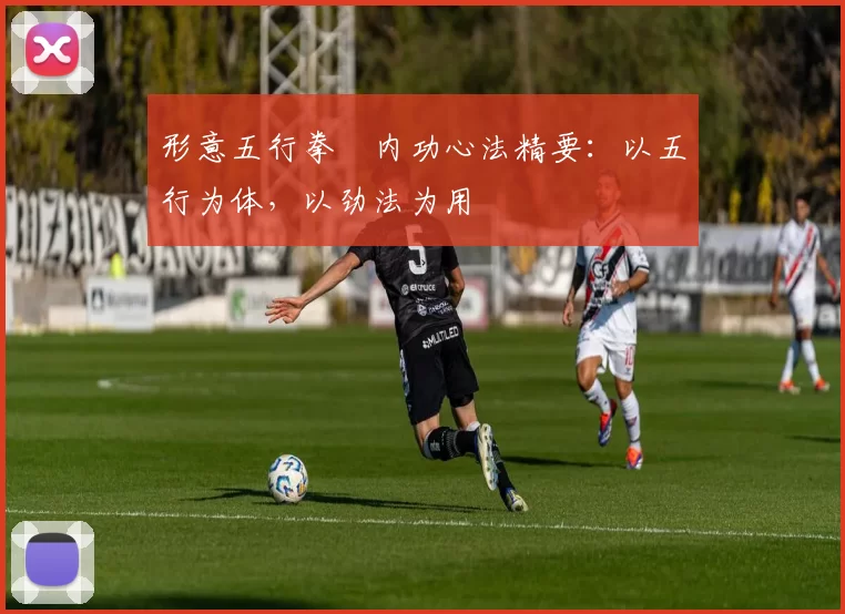 形意五行拳・内功心法精要：以五行为体，以劲法为用