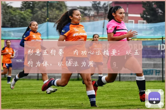 形意五行拳・内功心法精要:以五行为体,以劲法为用