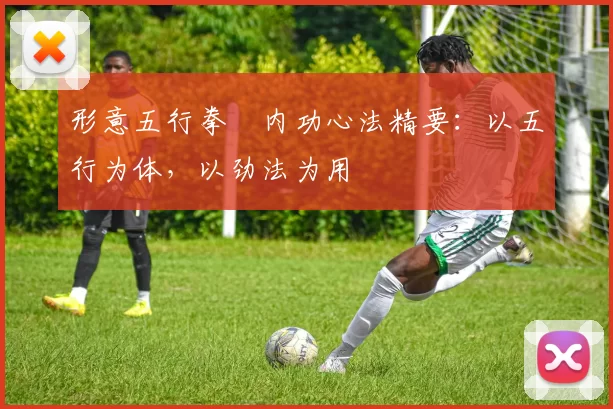 形意五行拳・内功心法精要:以五行为体,以劲法为用