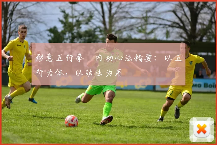 形意五行拳・内功心法精要：以五行为体，以劲法为用