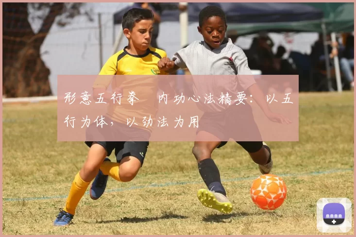 形意五行拳・内功心法精要：以五行为体，以劲法为用