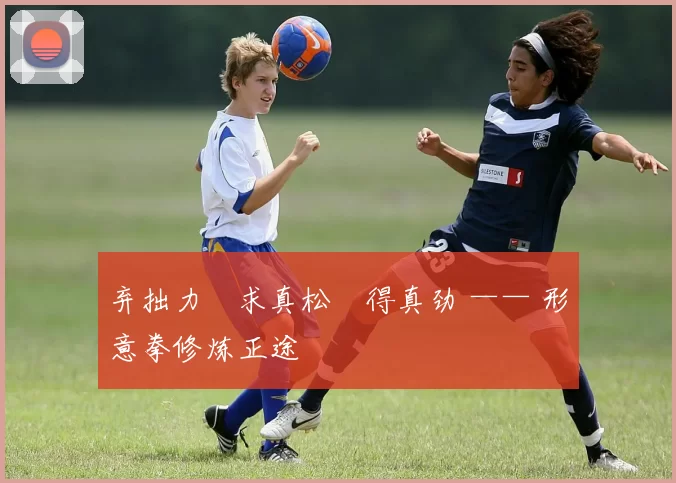 弃拙力・求真松・得真劲 —— 形意拳修炼正途