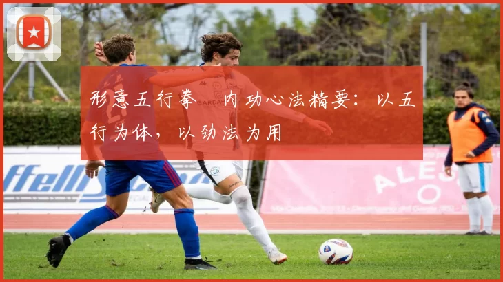 形意五行拳・内功心法精要：以五行为体，以劲法为用