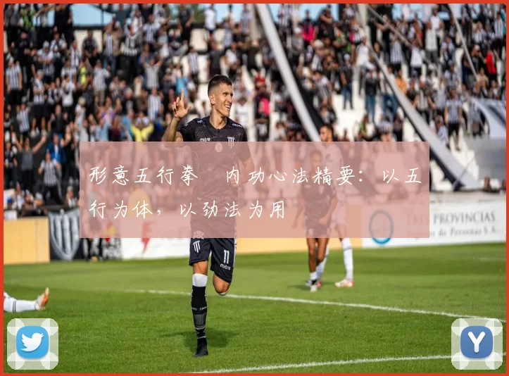 形意五行拳・内功心法精要:以五行为体,以劲法为用