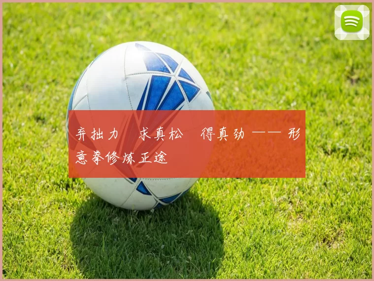 弃拙力・求真松・得真劲 —— 形意拳修炼正途