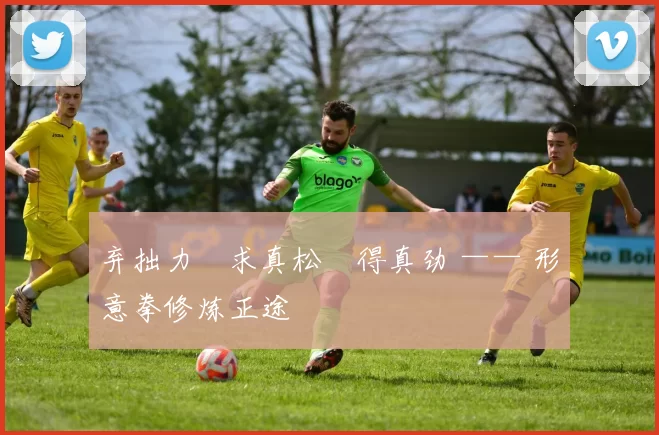 弃拙力・求真松・得真劲 —— 形意拳修炼正途