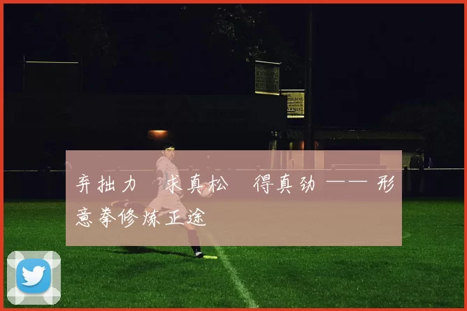 弃拙力・求真松・得真劲 —— 形意拳修炼正途