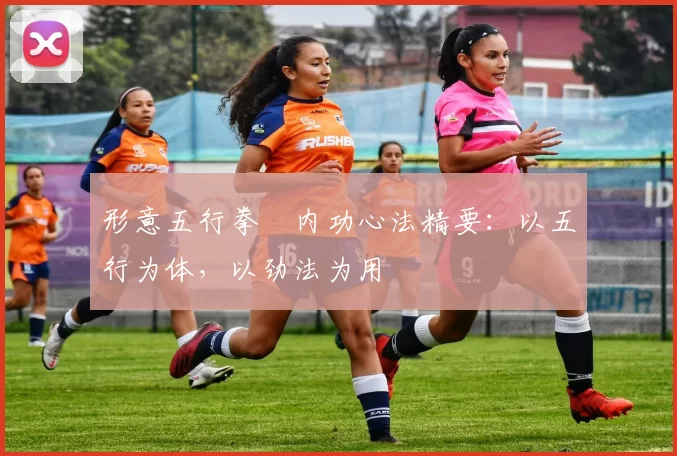 形意五行拳・内功心法精要：以五行为体，以劲法为用