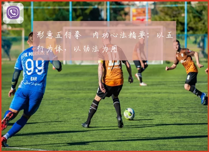 形意五行拳・内功心法精要：以五行为体，以劲法为用