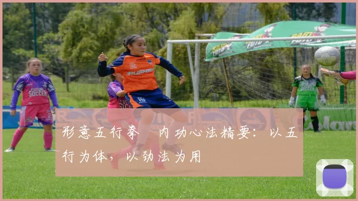 形意五行拳・内功心法精要：以五行为体，以劲法为用