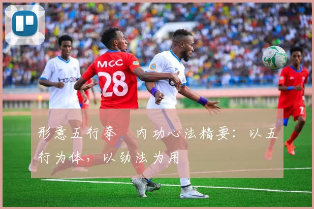 形意五行拳・内功心法精要:以五行为体,以劲法为用