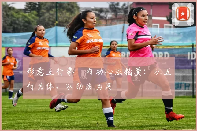 形意五行拳・内功心法精要:以五行为体,以劲法为用