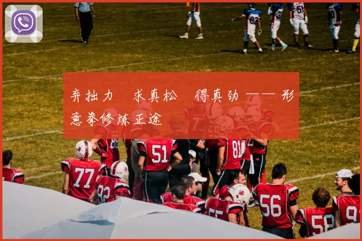 弃拙力・求真松・得真劲 —— 形意拳修炼正途