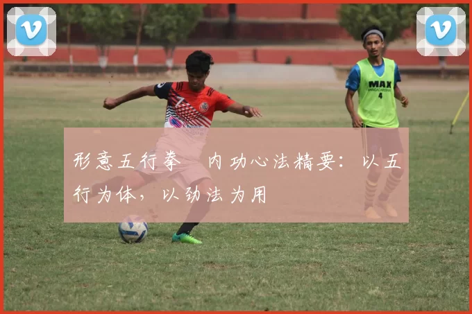 形意五行拳・内功心法精要：以五行为体，以劲法为用