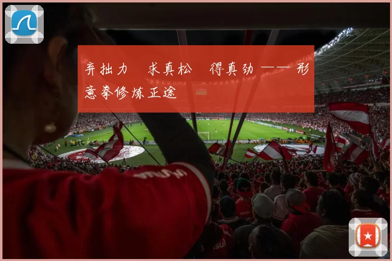 弃拙力・求真松・得真劲 —— 形意拳修炼正途