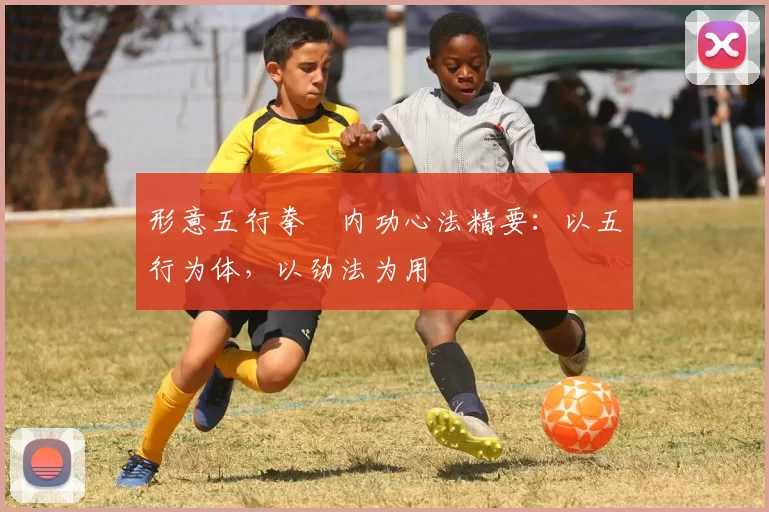 形意五行拳・内功心法精要：以五行为体，以劲法为用