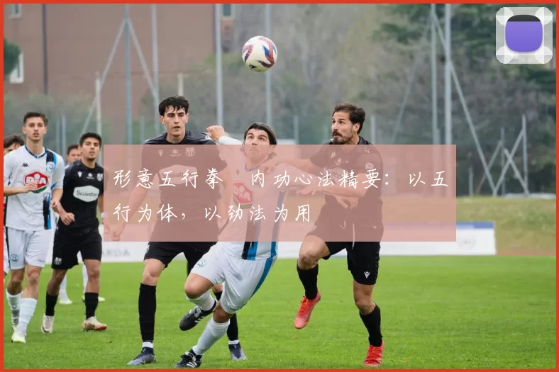 形意五行拳・内功心法精要：以五行为体，以劲法为用