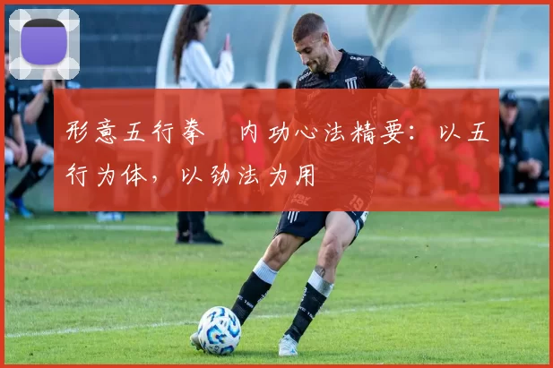 形意五行拳・内功心法精要:以五行为体,以劲法为用