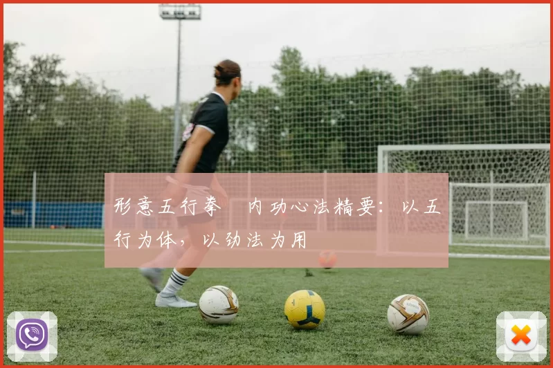 形意五行拳・内功心法精要：以五行为体，以劲法为用