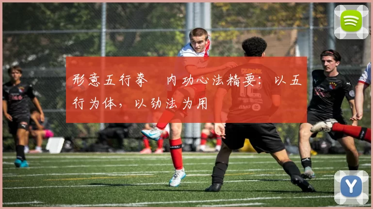 形意五行拳・内功心法精要：以五行为体，以劲法为用