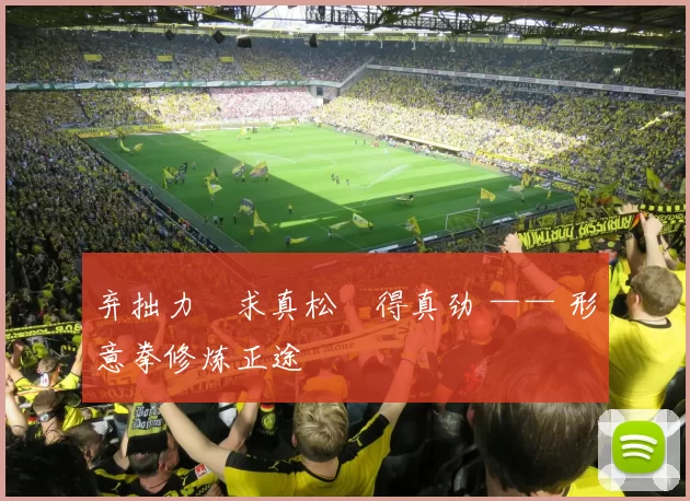 弃拙力・求真松・得真劲 —— 形意拳修炼正途