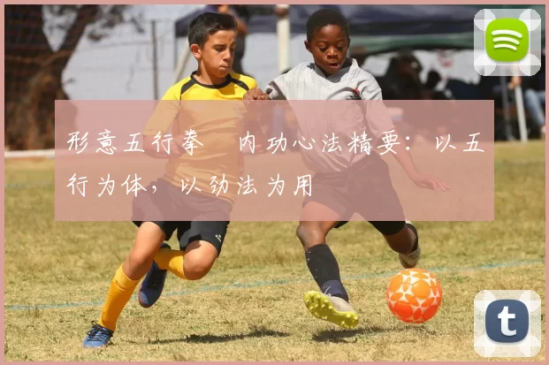 形意五行拳・内功心法精要：以五行为体，以劲法为用