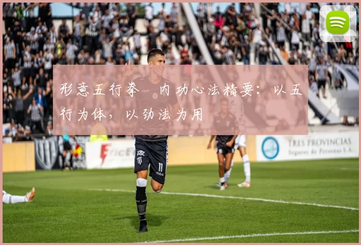 形意五行拳・内功心法精要:以五行为体,以劲法为用