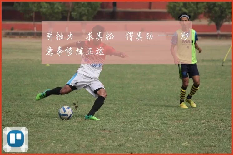 弃拙力・求真松・得真劲 —— 形意拳修炼正途