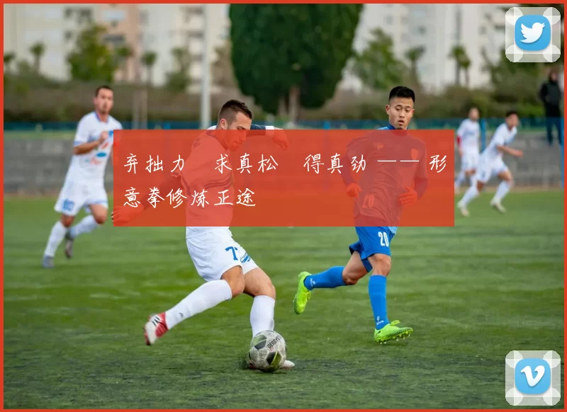 弃拙力・求真松・得真劲 —— 形意拳修炼正途