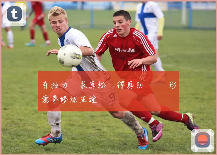 弃拙力・求真松・得真劲 —— 形意拳修炼正途