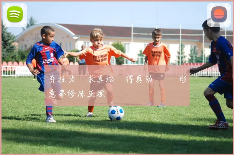 弃拙力・求真松・得真劲 —— 形意拳修炼正途