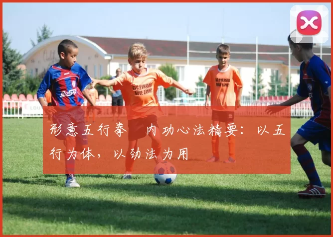 形意五行拳・内功心法精要：以五行为体，以劲法为用