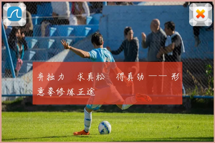 弃拙力・求真松・得真劲 —— 形意拳修炼正途