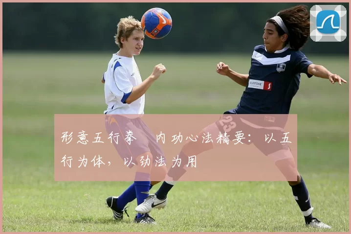 形意五行拳・内功心法精要：以五行为体，以劲法为用