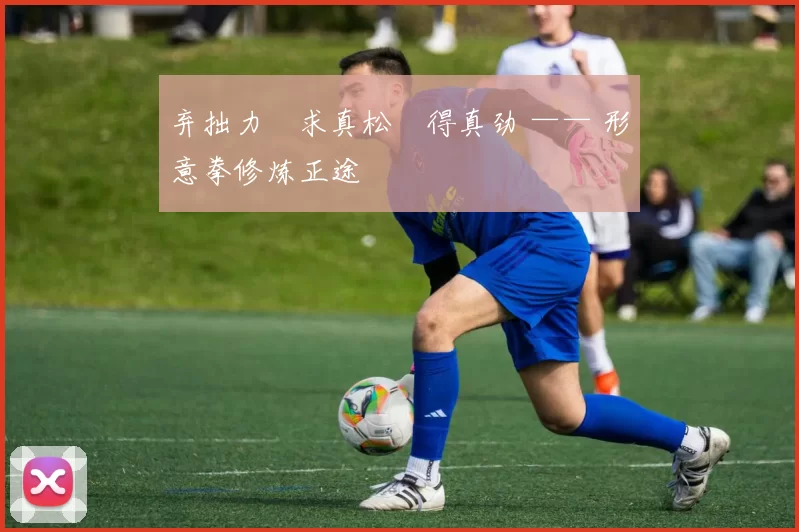 弃拙力・求真松・得真劲 —— 形意拳修炼正途