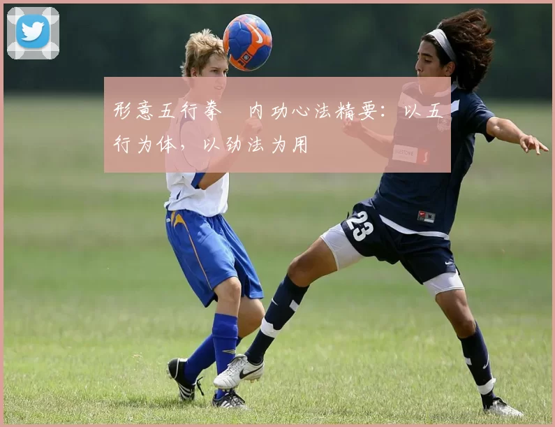 形意五行拳・内功心法精要:以五行为体,以劲法为用