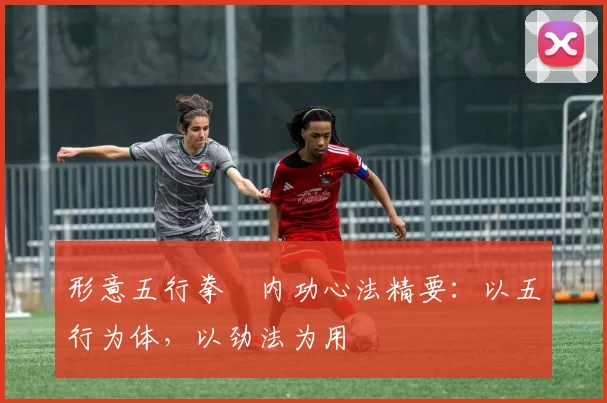 形意五行拳・内功心法精要:以五行为体,以劲法为用