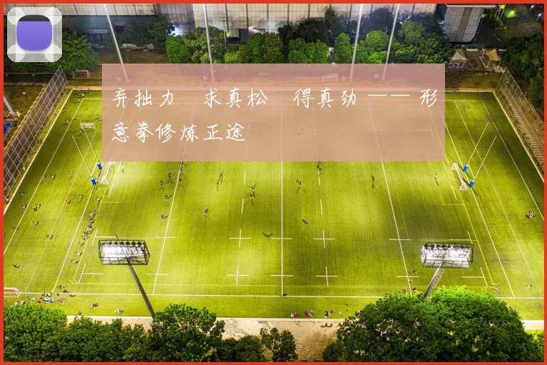 弃拙力・求真松・得真劲 —— 形意拳修炼正途