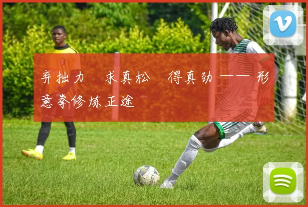 弃拙力・求真松・得真劲 —— 形意拳修炼正途