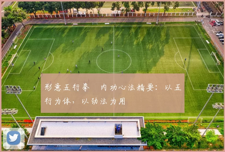 形意五行拳・内功心法精要:以五行为体,以劲法为用