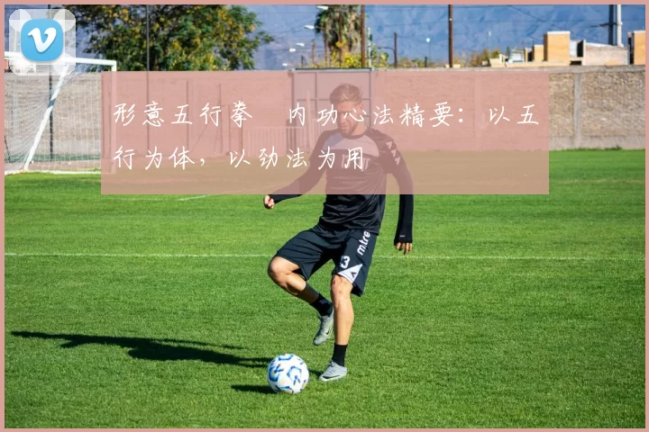 形意五行拳・内功心法精要:以五行为体,以劲法为用